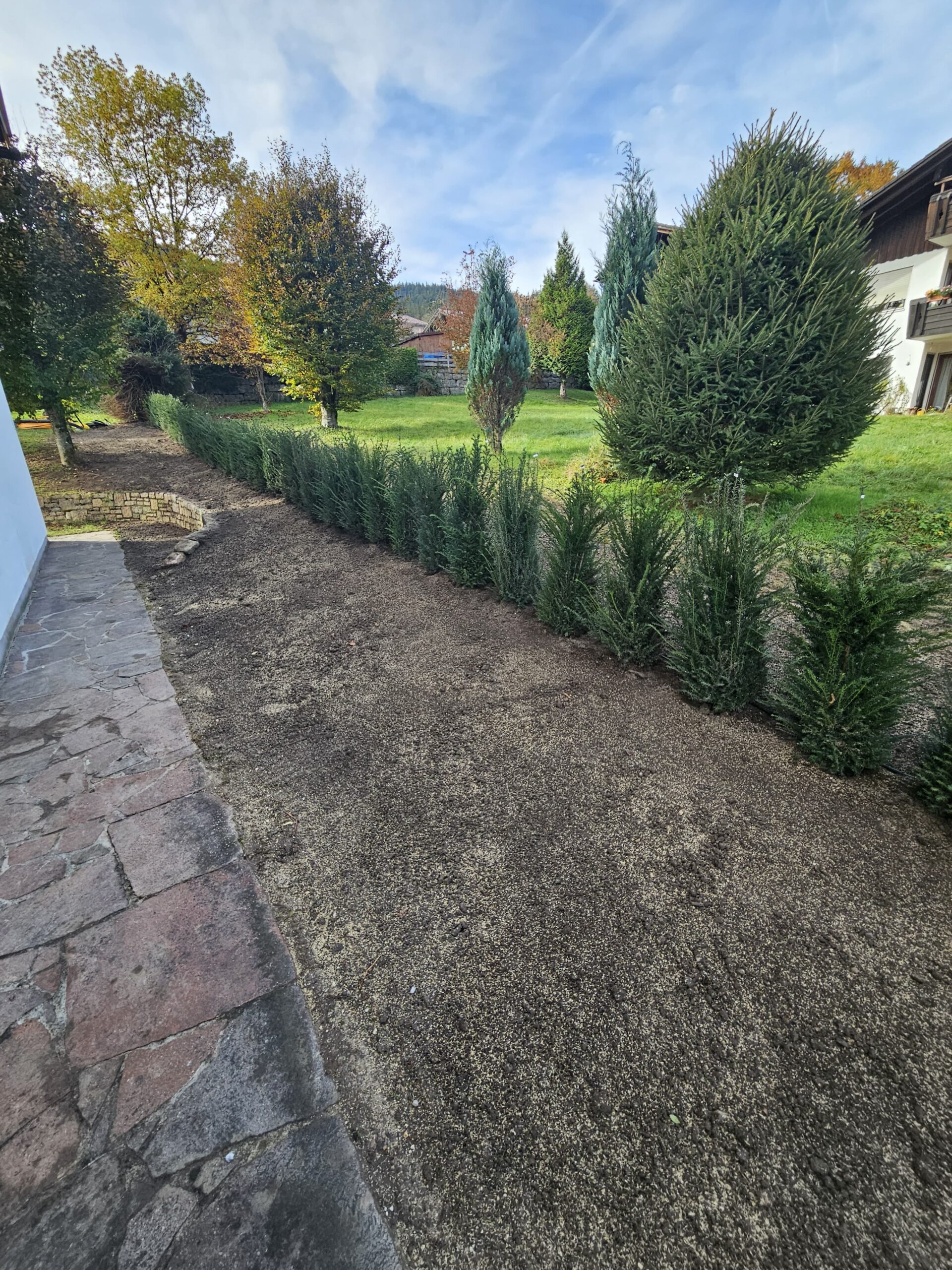 Hecke und Rasenplanum