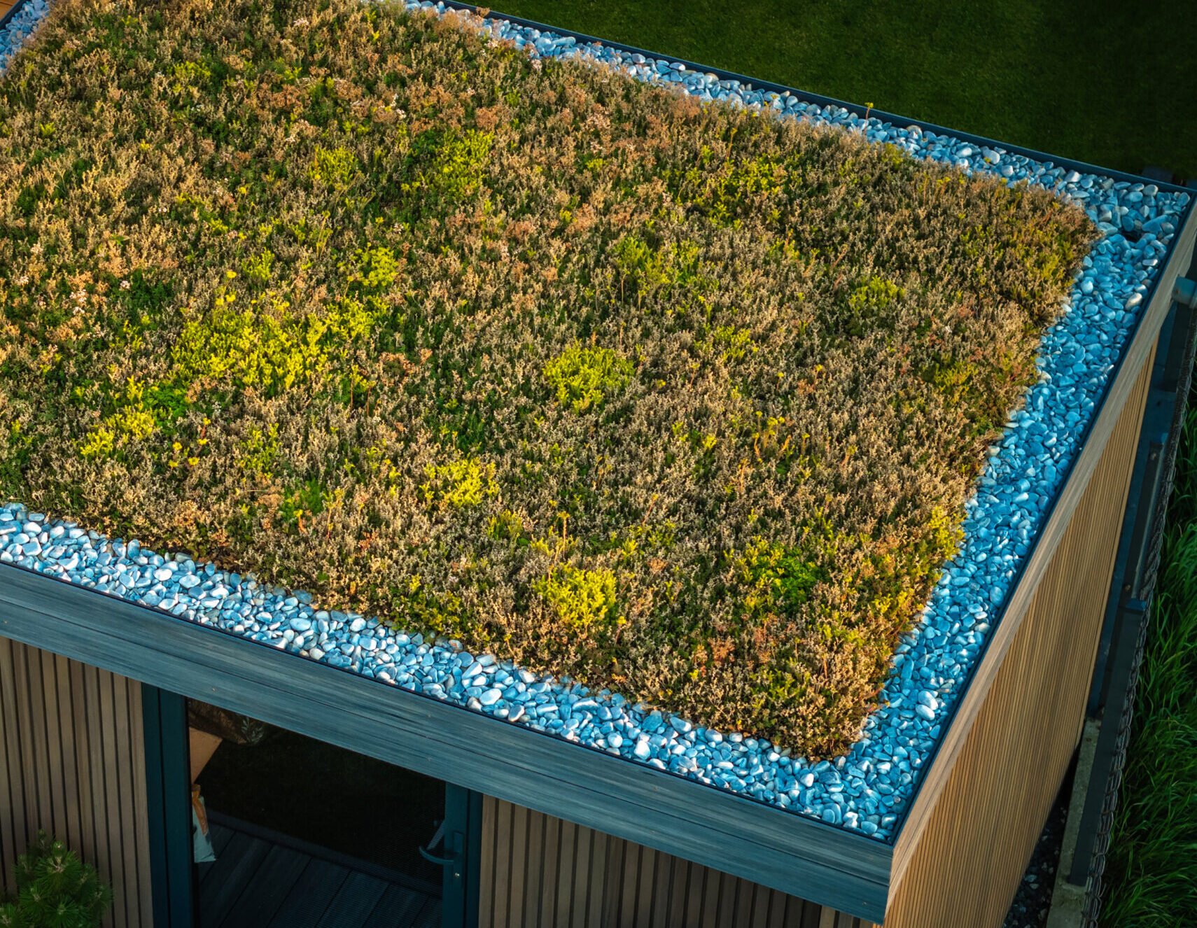 Caucasian Man Taking Care of a Living Roof.